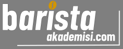 barista akademisi logo gri